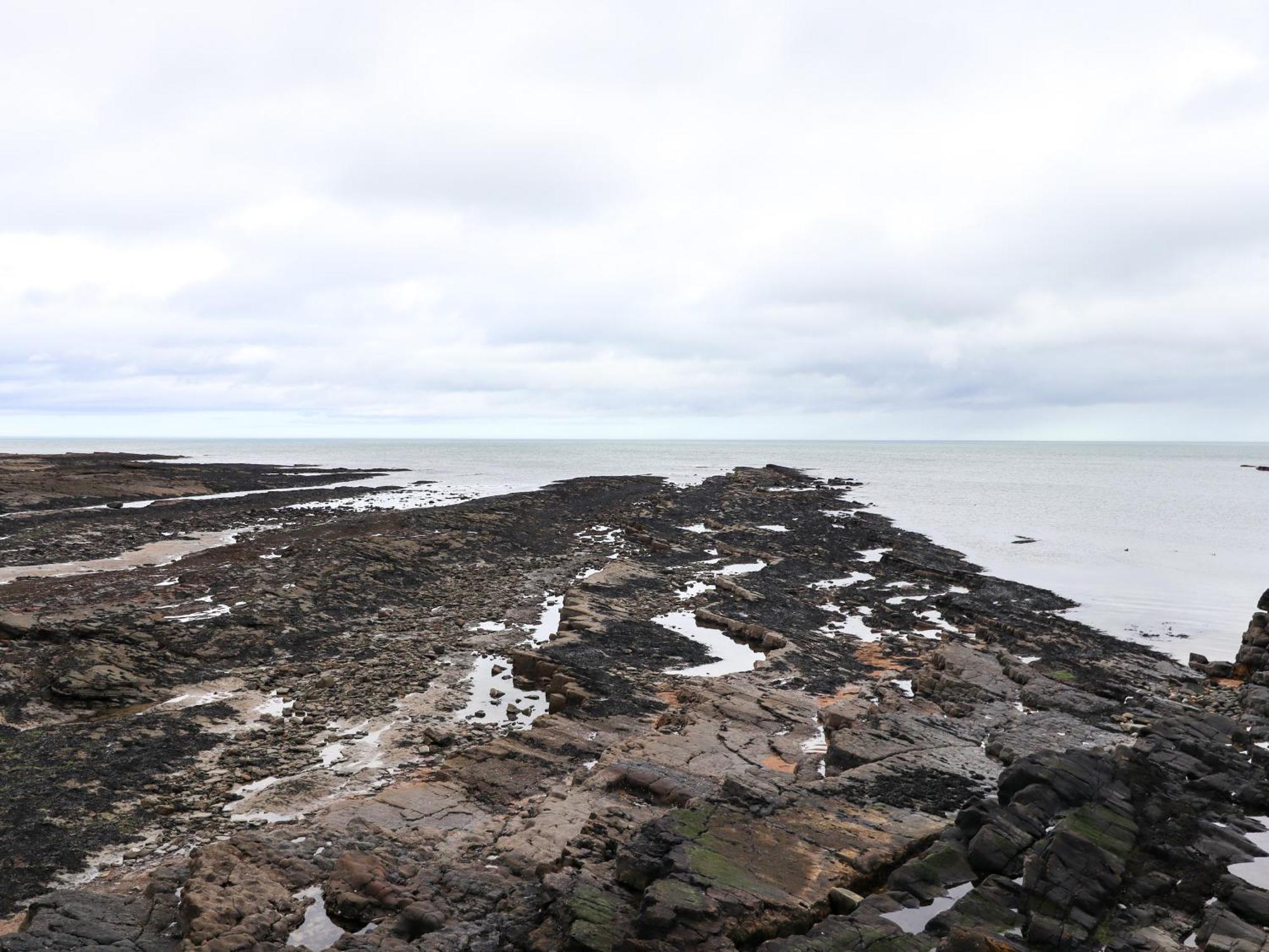 Barnacle Cove Villa Beadnell Eksteriør bilde